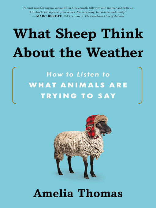 Titelbild für What Sheep Think About the Weather